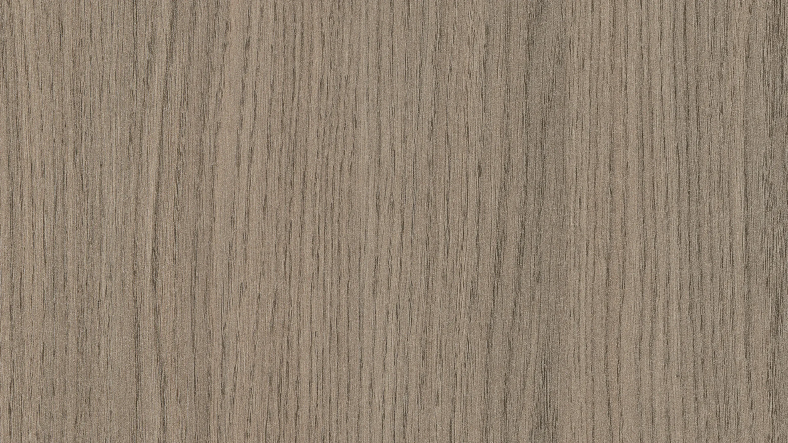 Grey Vicenza Oak